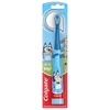 1 Count (Pack of 1)