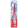 1 Count (Pack of 12)