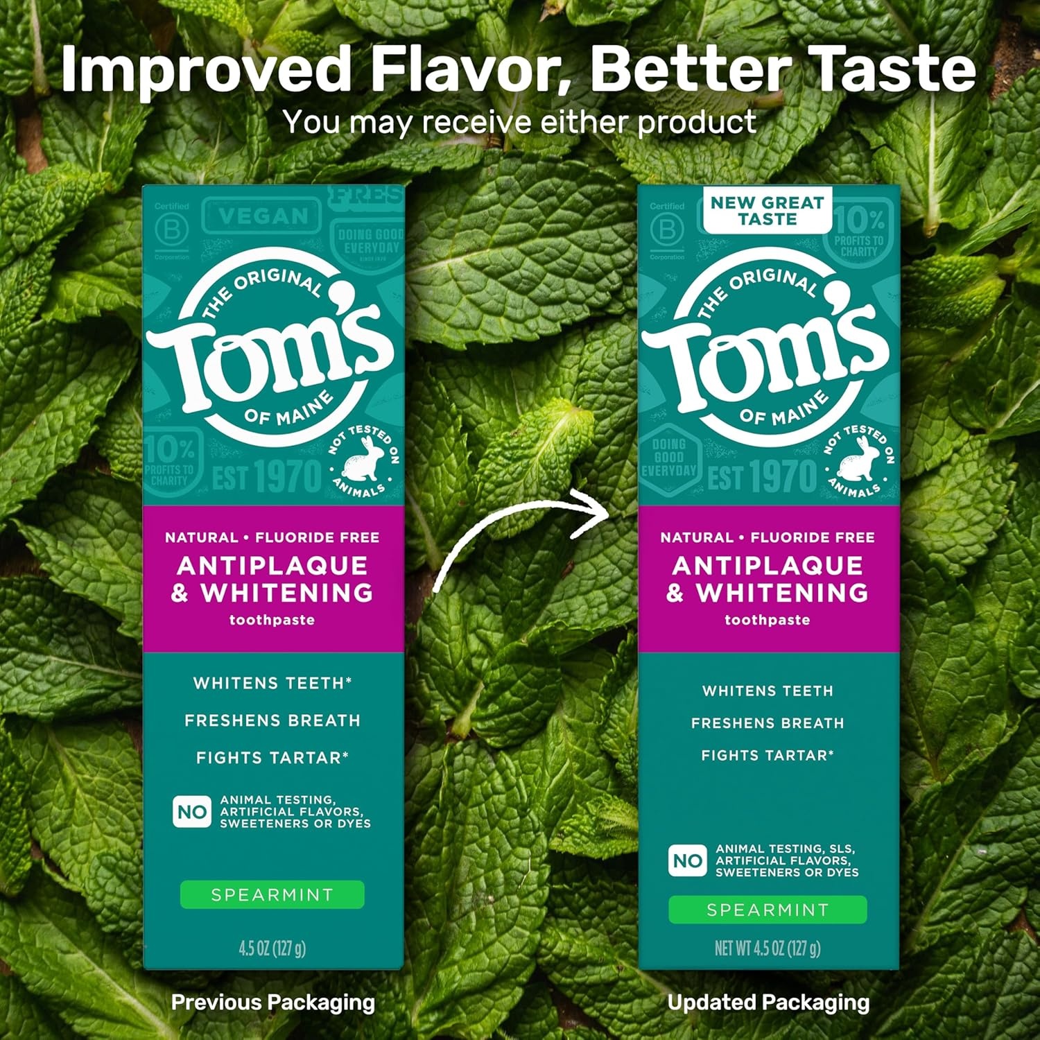 imageToms of Maine FluorideFree Antiplaque amp Whitening Natural Toothpaste Peppermint 55 oz Pack of 2Spearmint