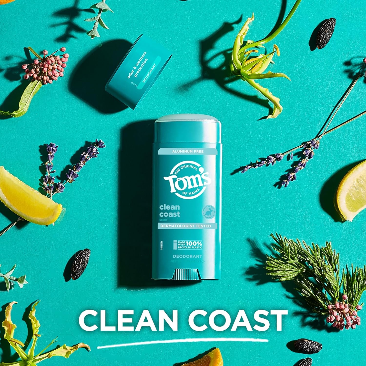 imageToms of Maine Mountain Spring Natural Deodorant for Men and Women Aluminum Free No Artificial Fragrances Dyes or Preservatives Baking Soda Free 48Hour Odor Protection 325 ozClean Coast