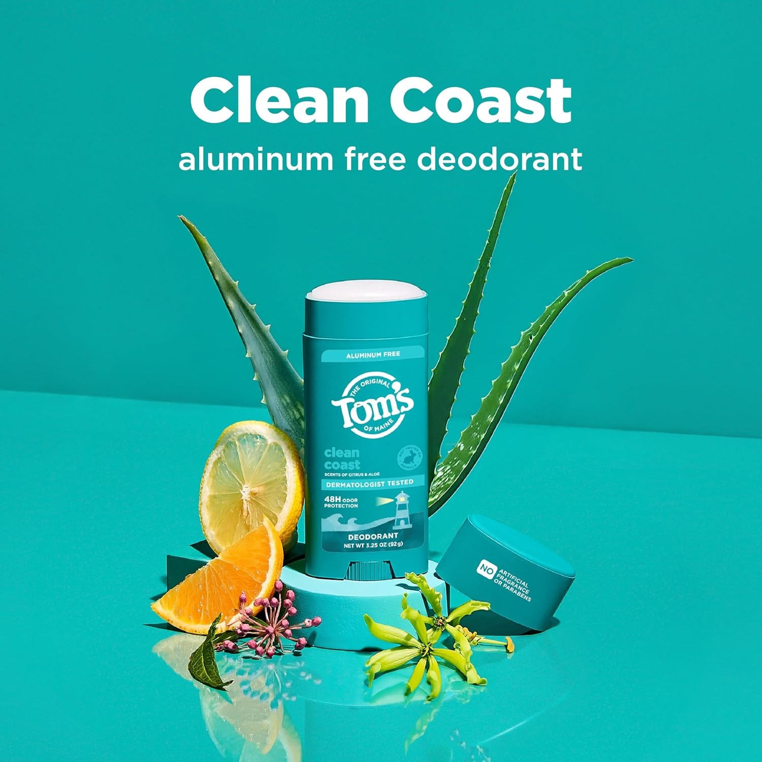 imageToms of Maine Mountain Spring Natural Deodorant for Men and Women Aluminum Free No Artificial Fragrances Dyes or Preservatives Baking Soda Free 48Hour Odor Protection 325 ozClean Coast