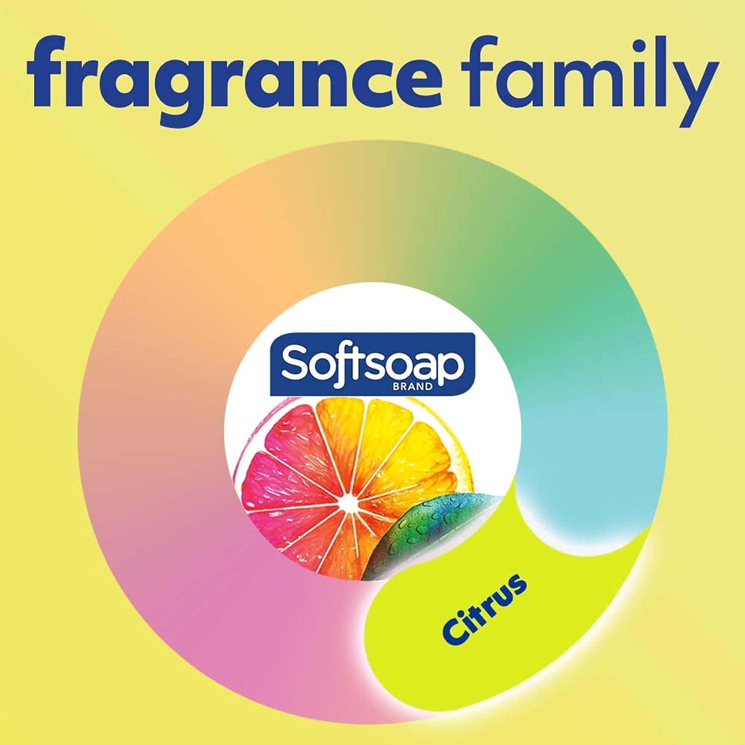 imageSoftsoap Antibacterial Liquid Hand Soap Fresh Citrus Scent Hand Soap 1125 Ounce 6 Pack1125 Fl Oz Pack of 12