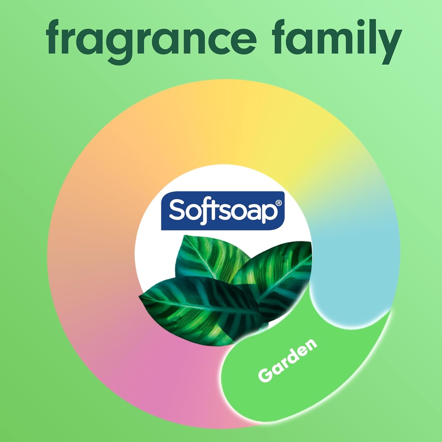 imageSoftsoap Body Wash Pomegranate amp Mango Spritz Body Wash 20 Fl Oz Pack of 4Eucalyptus Mint