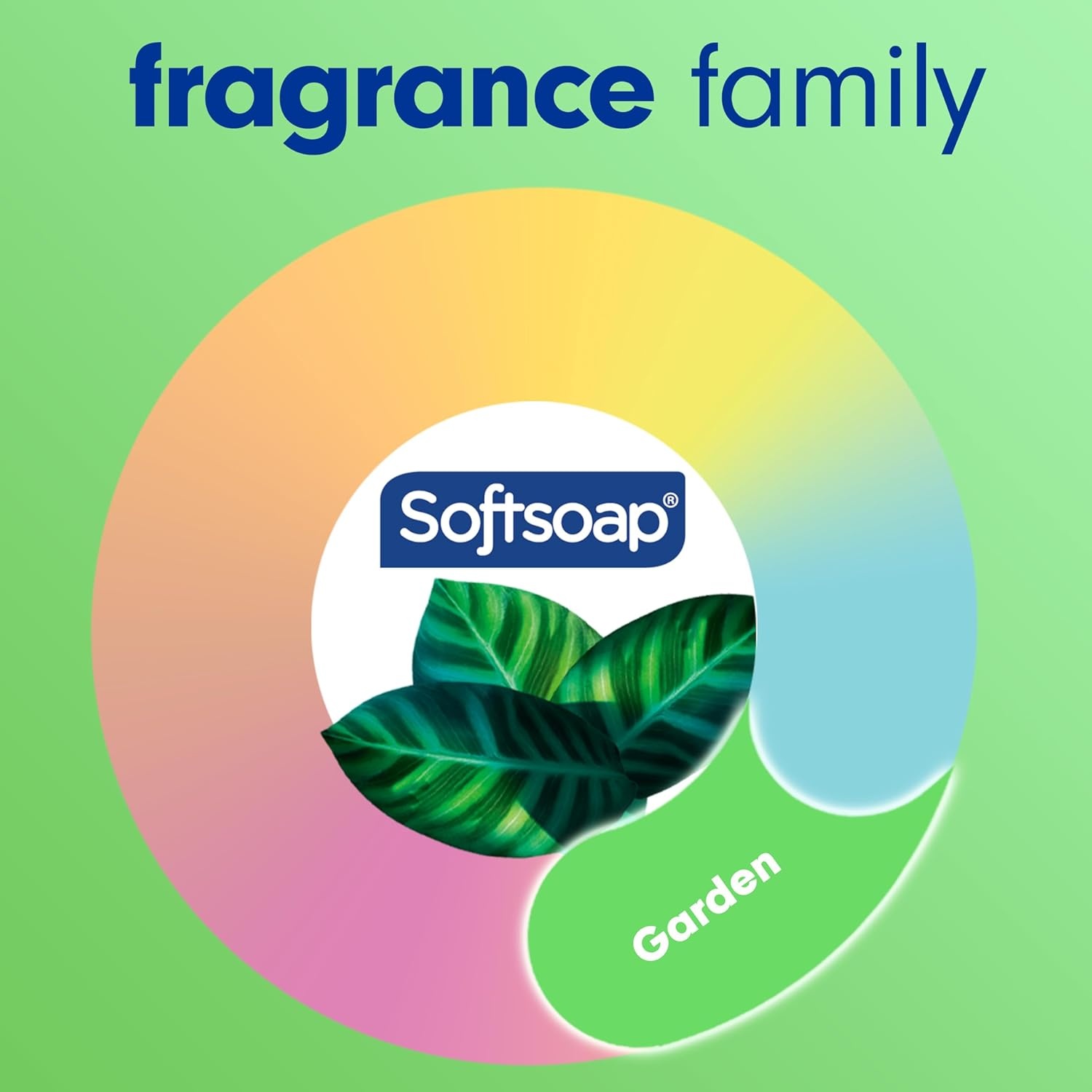 imageSoftsoap Body Wash Pomegranate amp Mango Spritz Body Wash 20 Fl Oz Pack of 4Eucalyptus Mint