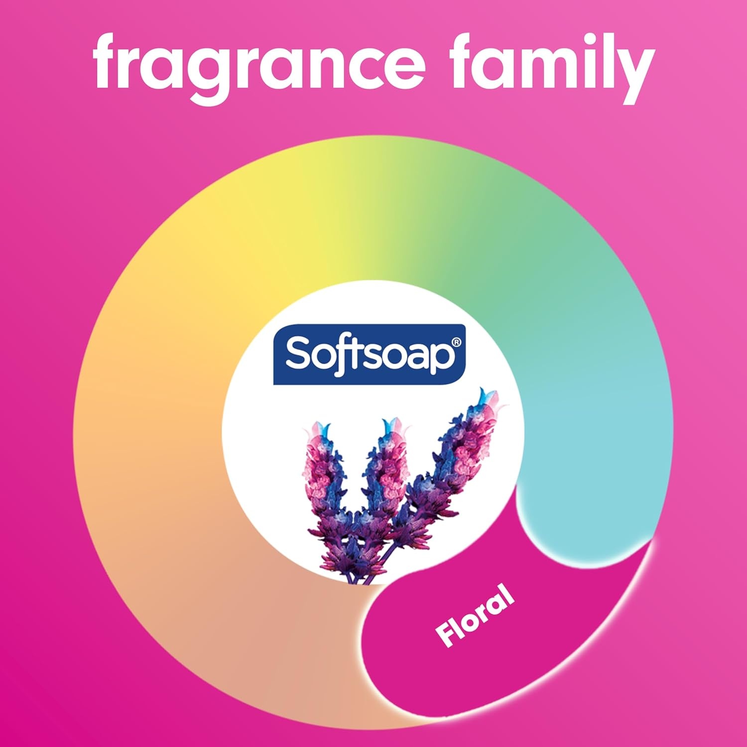 imageSoftsoap Body Wash Pomegranate amp Mango Spritz Body Wash 20 Fl Oz Pack of 4Sweet Honeysuckle Orange