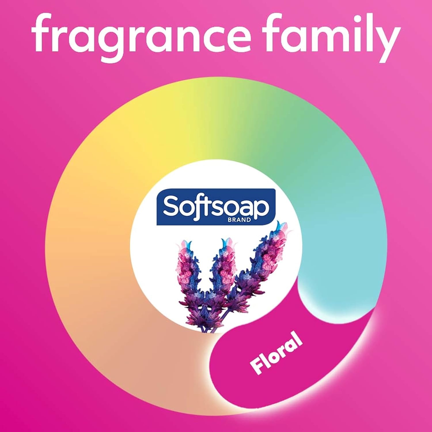 imageSoftsoap Body Wash Pomegranate amp Mango Spritz Body Wash 20 Fl Oz Pack of 4Sweet Honeysuckle Orange
