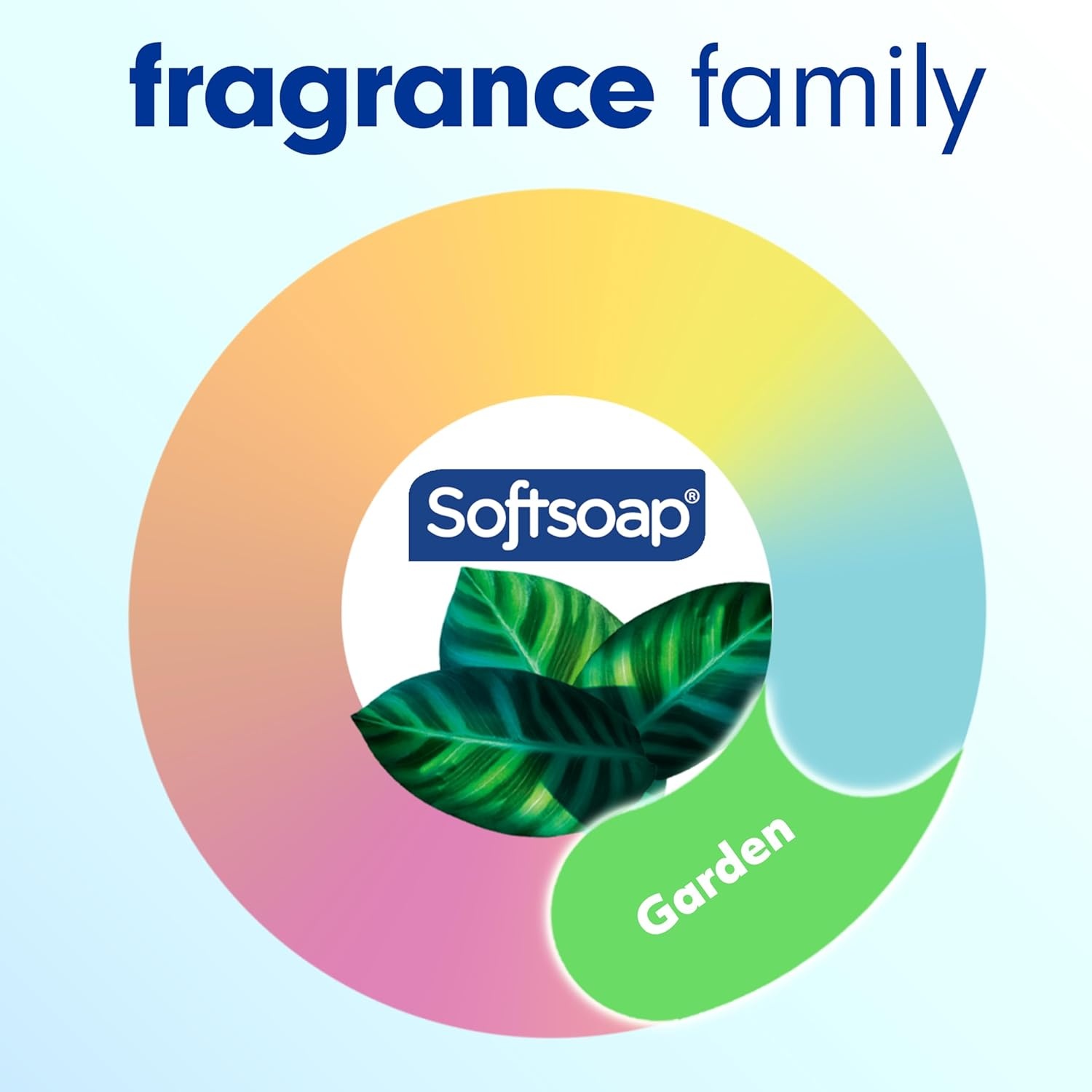 imageSoftsoap Warm Vanilla amp Coconut Milk Scent Liquid Hand Soap Moisturizing Liquid Hand Soap 1125 Ounce 6 PackEucalyptus Sea Salt