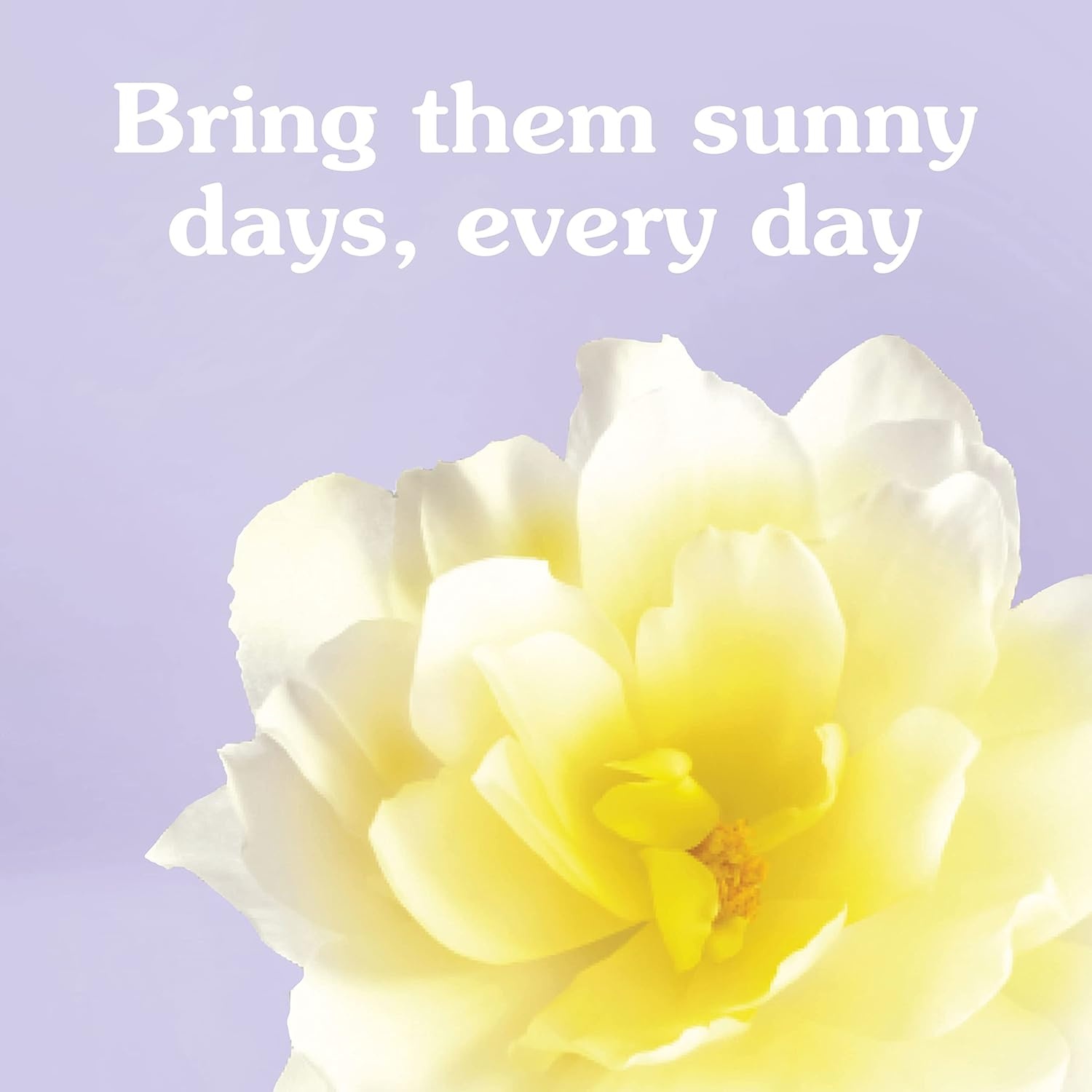 imageSuavitel Shed Shield Liquid Fabric Softener and Conditioner Fresh Scent 46 fl ozMorning Sun
